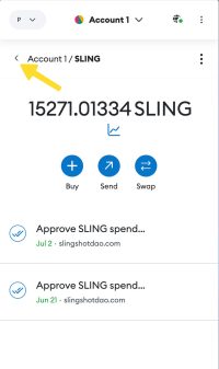 Sling activity