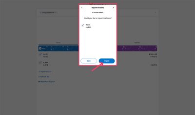 Import USDC to Metamask