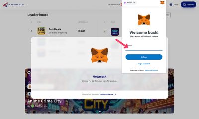 Metamask-01