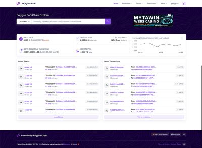 Polygonscan home page