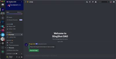 SSD Discord