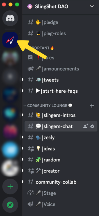 SSD Discord